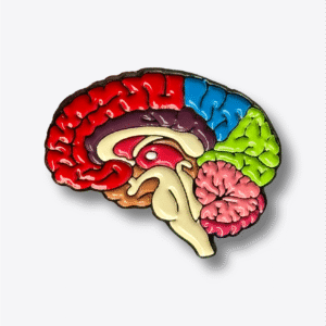 Cerebro Completo