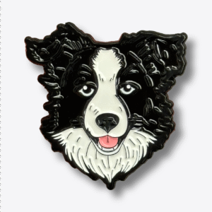 Border Collie 2